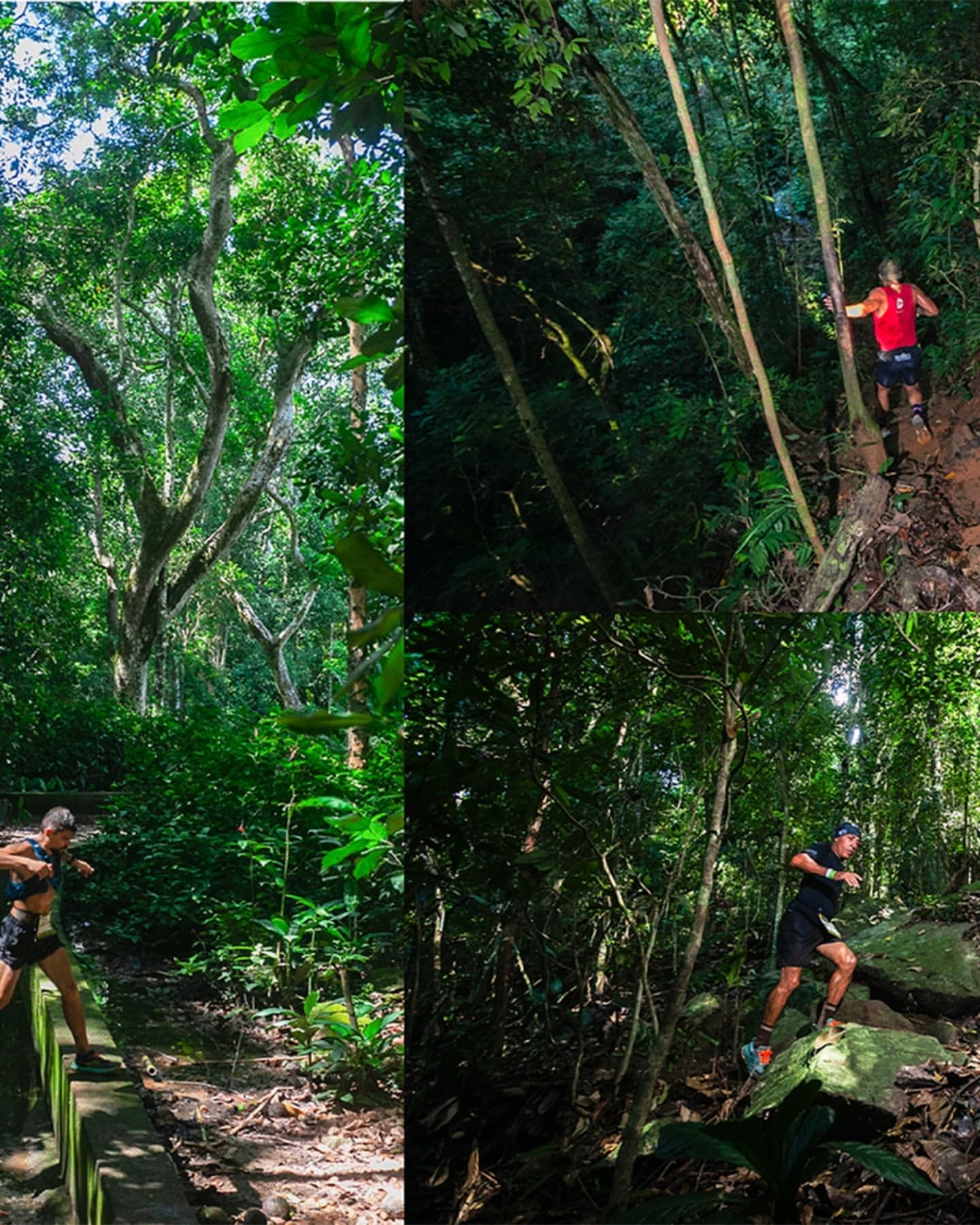 Foto e vídeo de ensaios, cobertura, documentários e muito mais... - 14