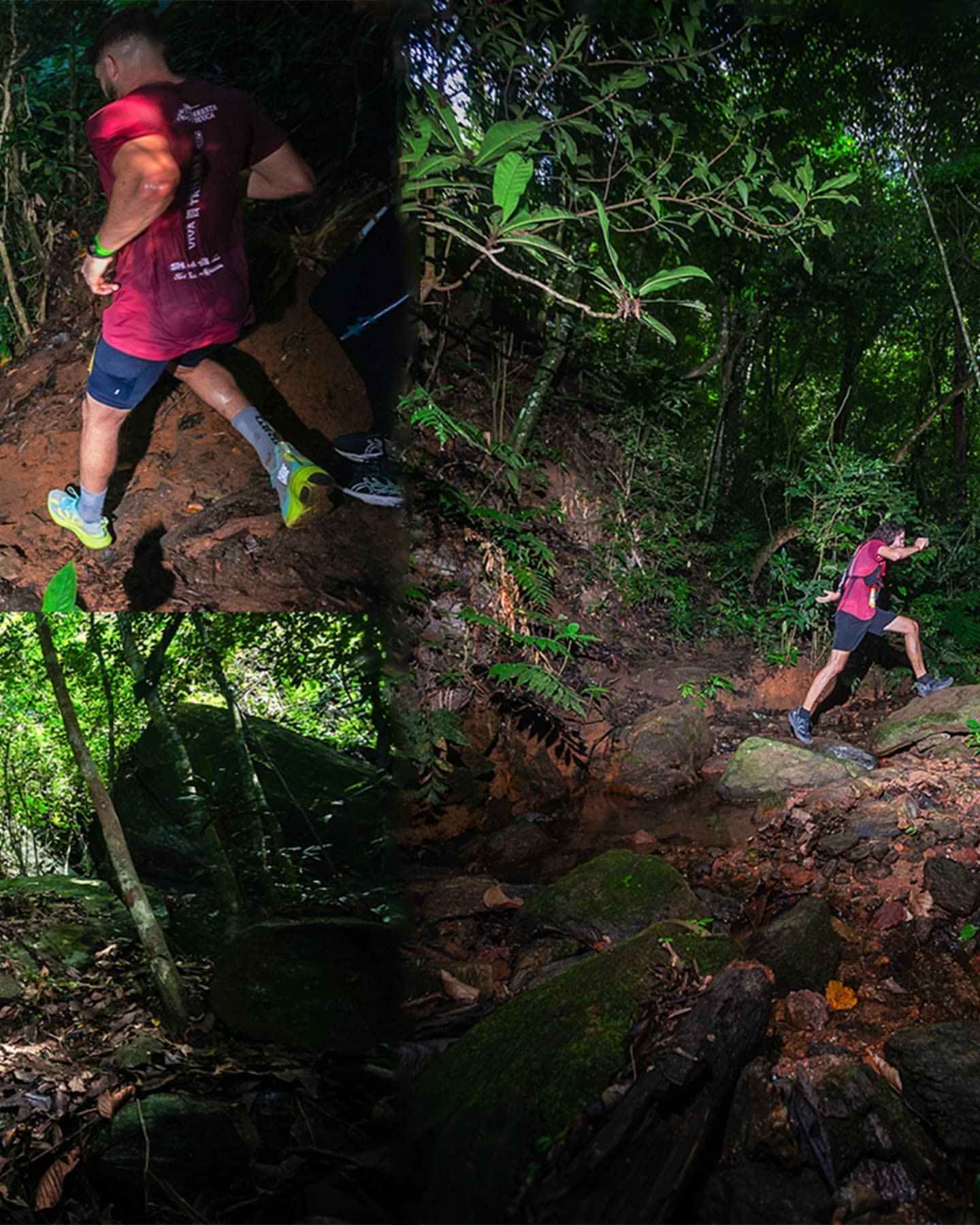 Foto e vídeo de ensaios, cobertura, documentários e muito mais... - 15