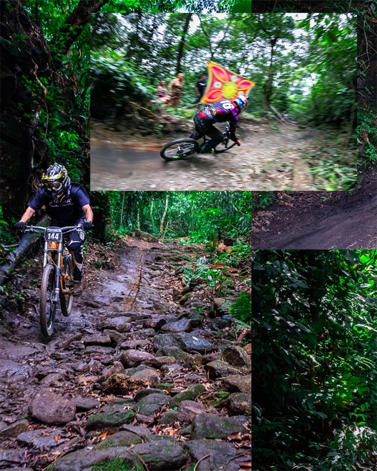 Foto e vídeo de ensaios, cobertura, documentários e muito mais... - 2