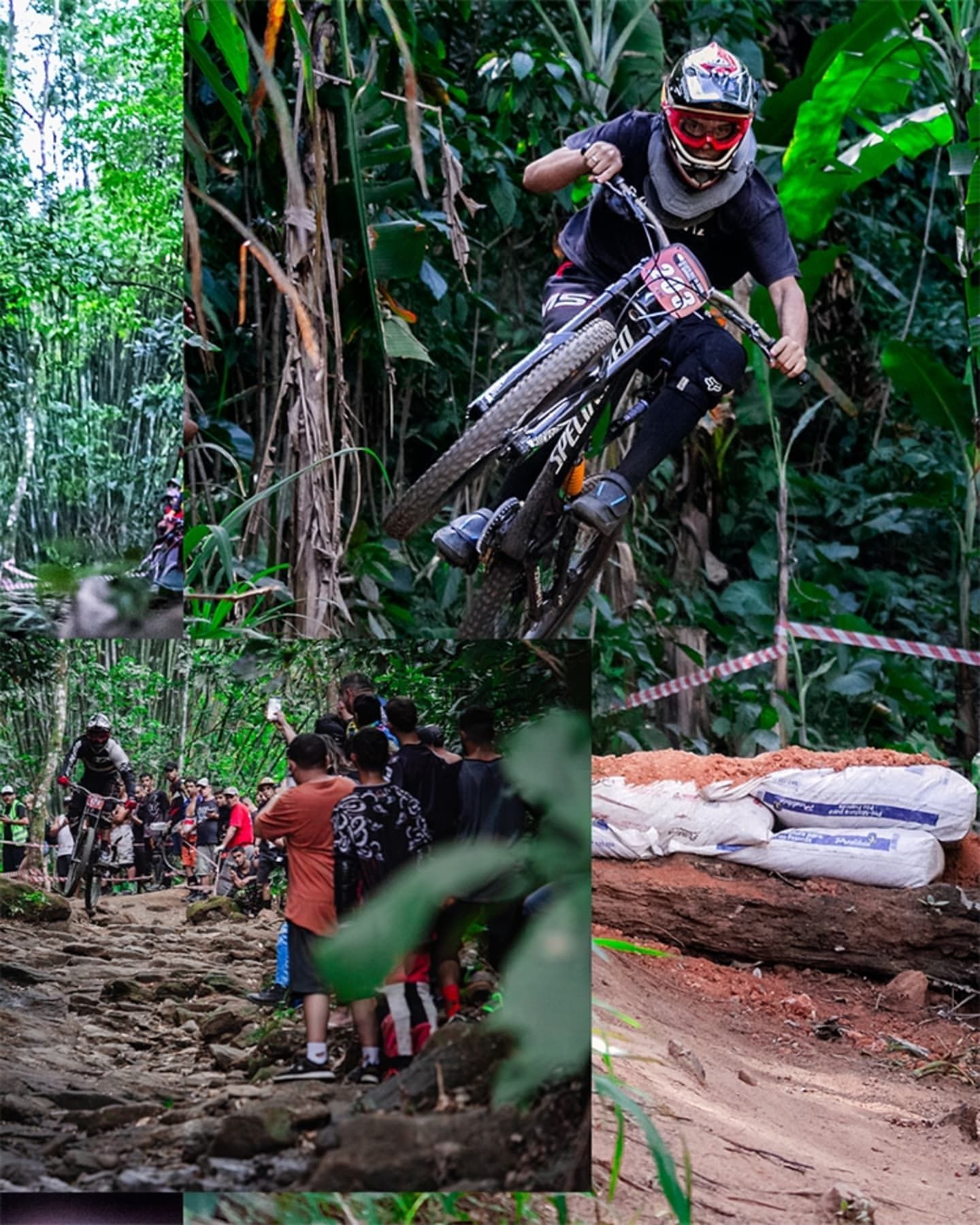 Foto e vídeo de ensaios, cobertura, documentários e muito mais... - 7