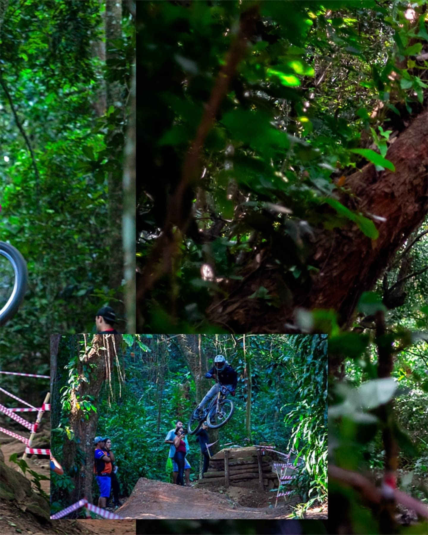 Foto e vídeo de ensaios, cobertura, documentários e muito mais... - 10