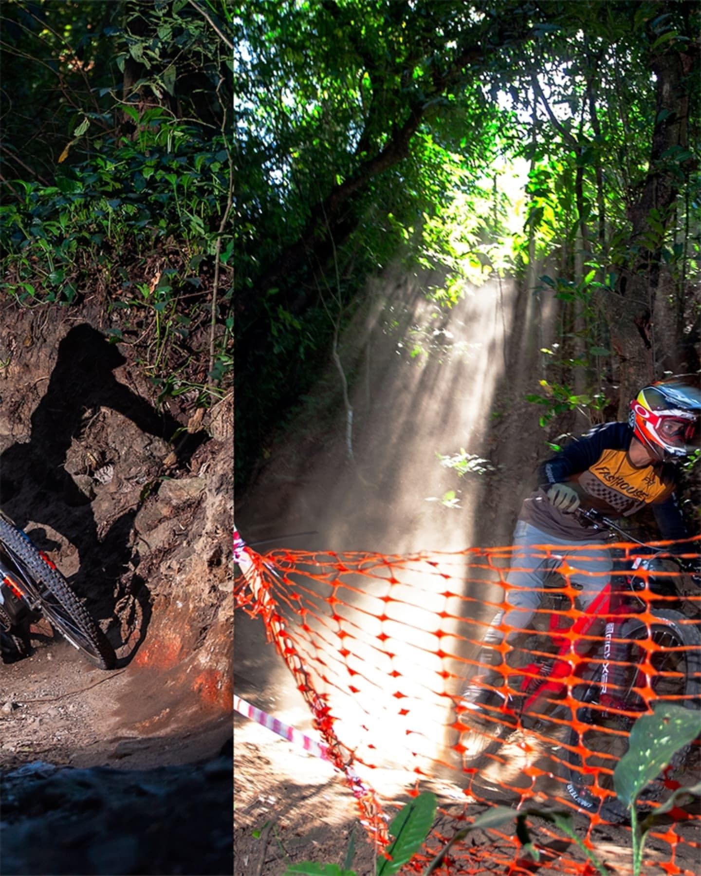 Foto e vídeo de ensaios, cobertura, documentários e muito mais... - 15