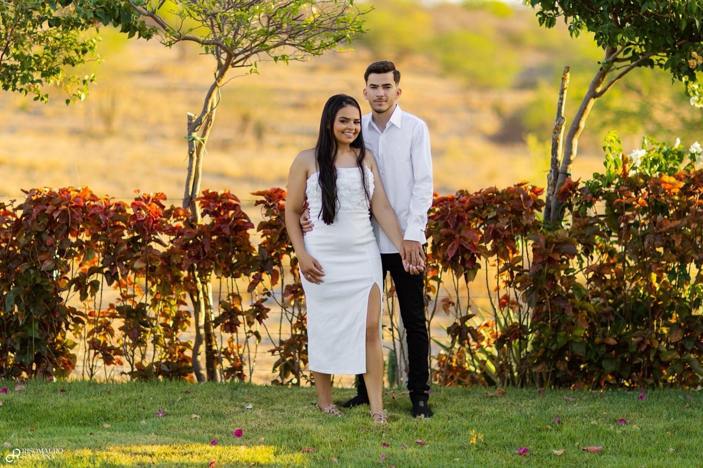 Studio Risomauro Santana - 4