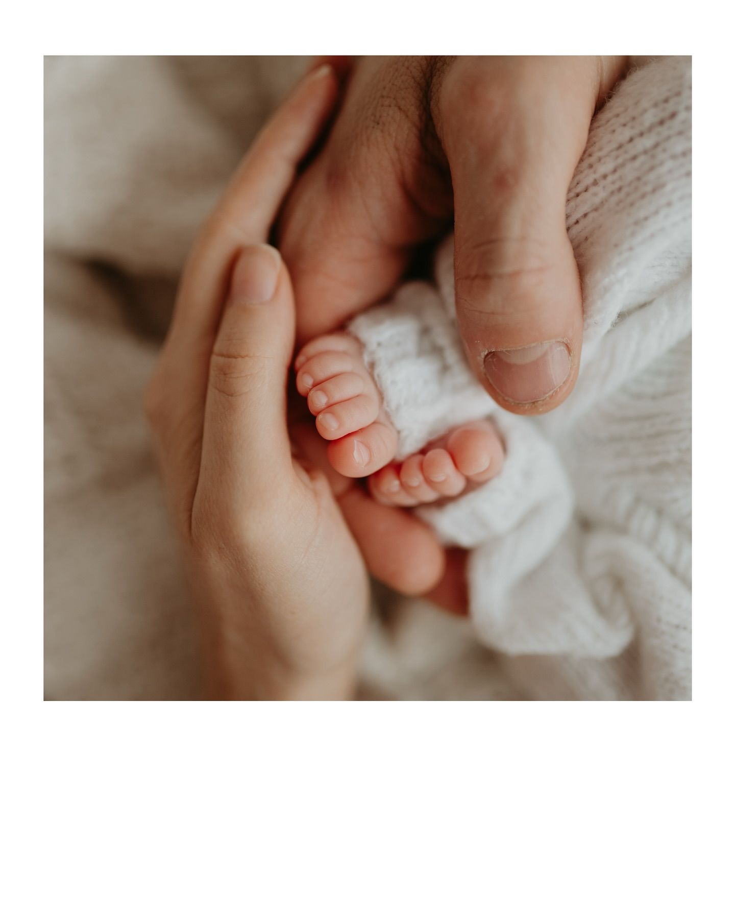 Primeiras Memórias Martim - 6