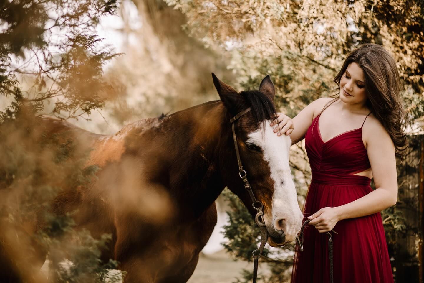 Fran Andrade Fotografia - 2