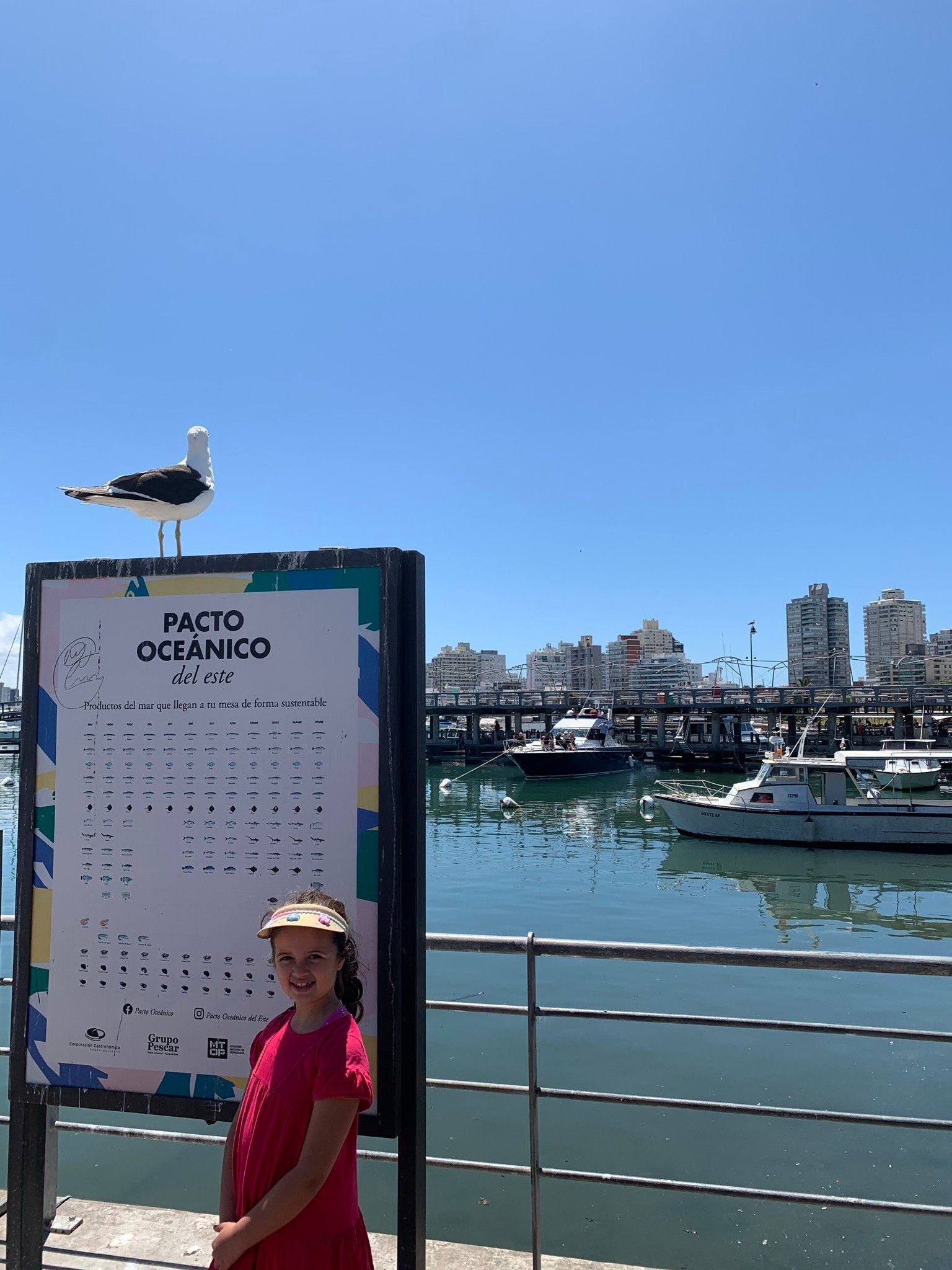 O que fazer em Punta del Este com crianças - 15