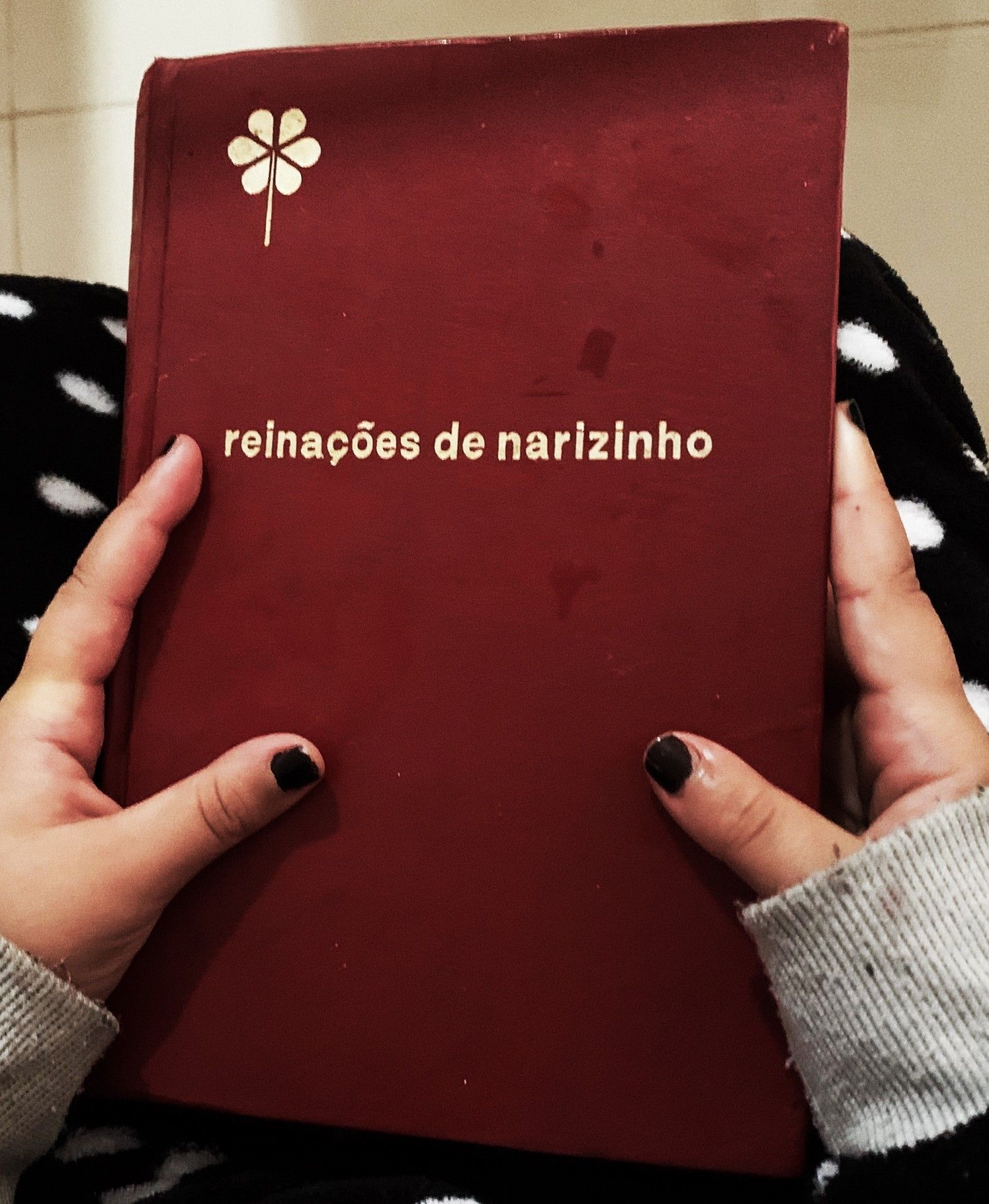 25 livros juvenis para viajar sem sair de casa - 23