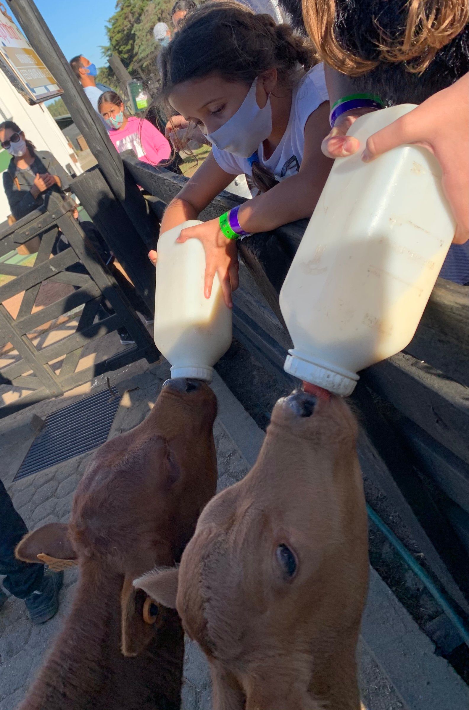 O que fazer em Punta del Este com crianças - 22