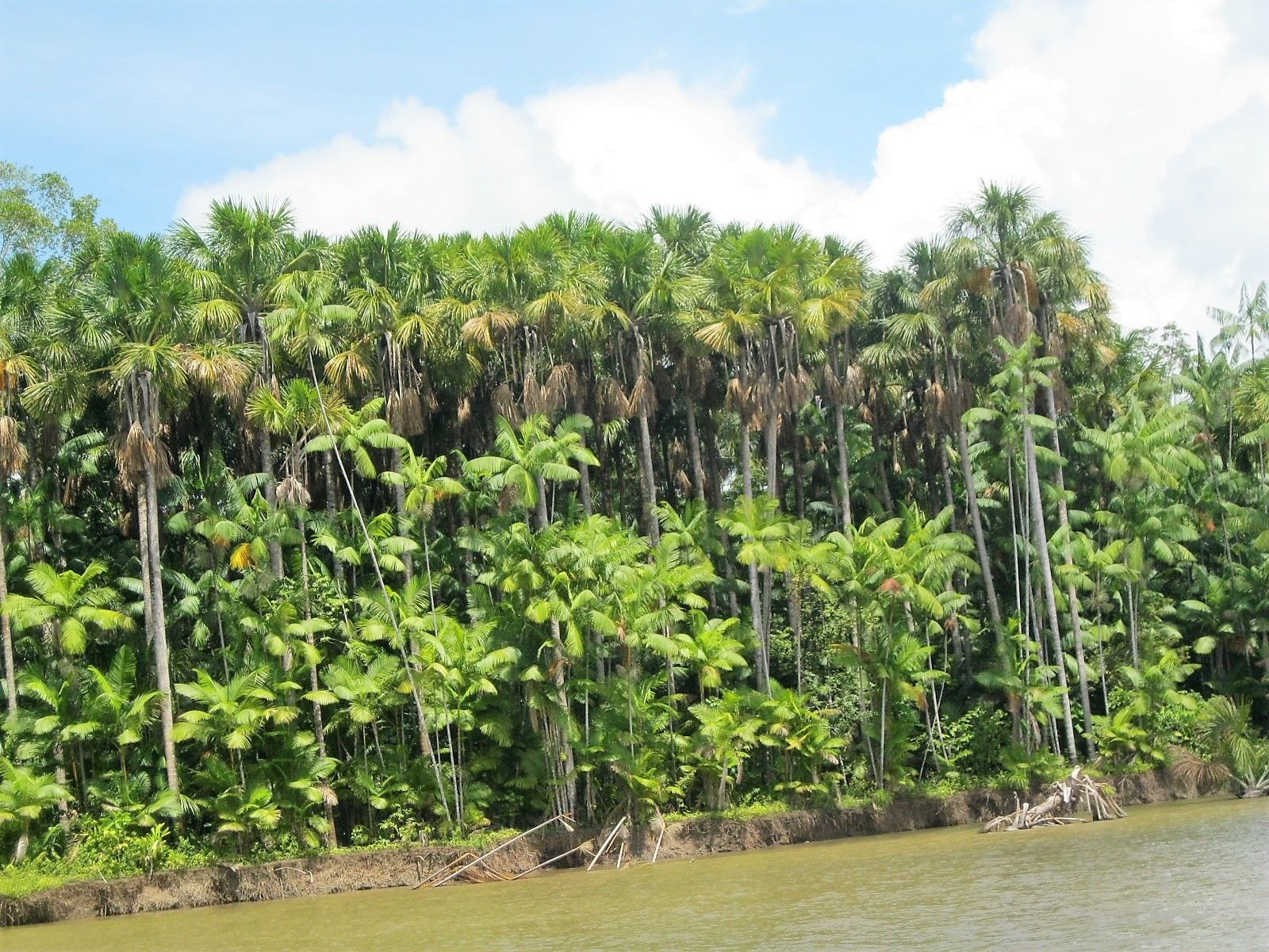 Afuá: um destino inexplorado no Brasil! - 29