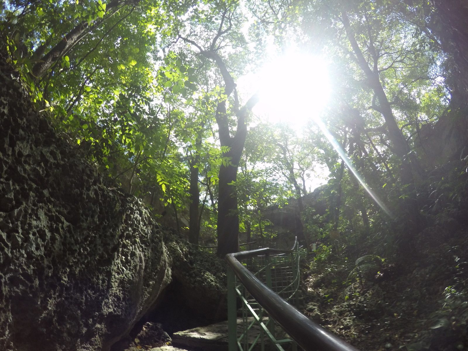 Lua de Mel na República Dominicana: um dos destinos preferidos! - 31