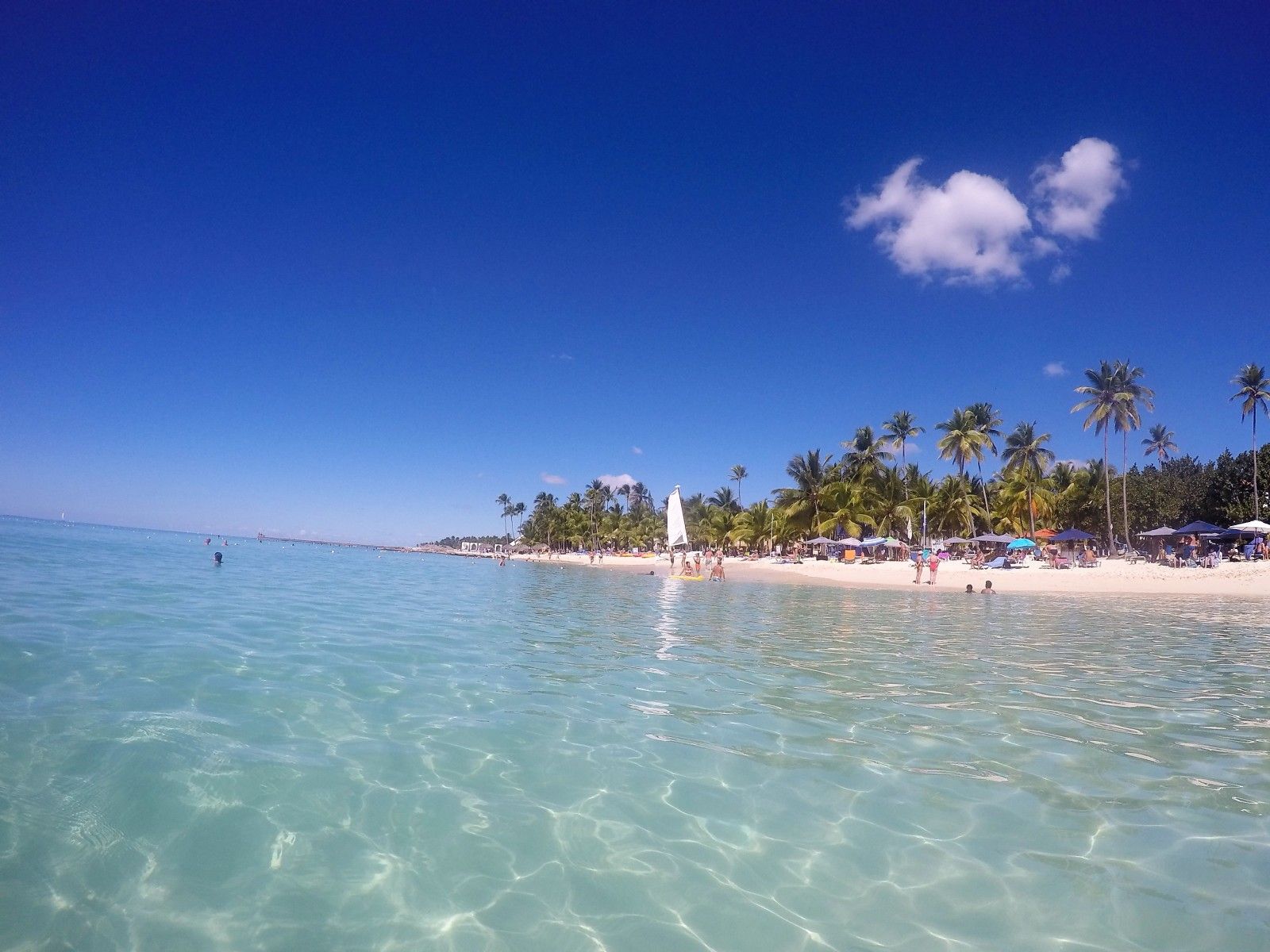 Lua de Mel na República Dominicana: um dos destinos preferidos! - 33
