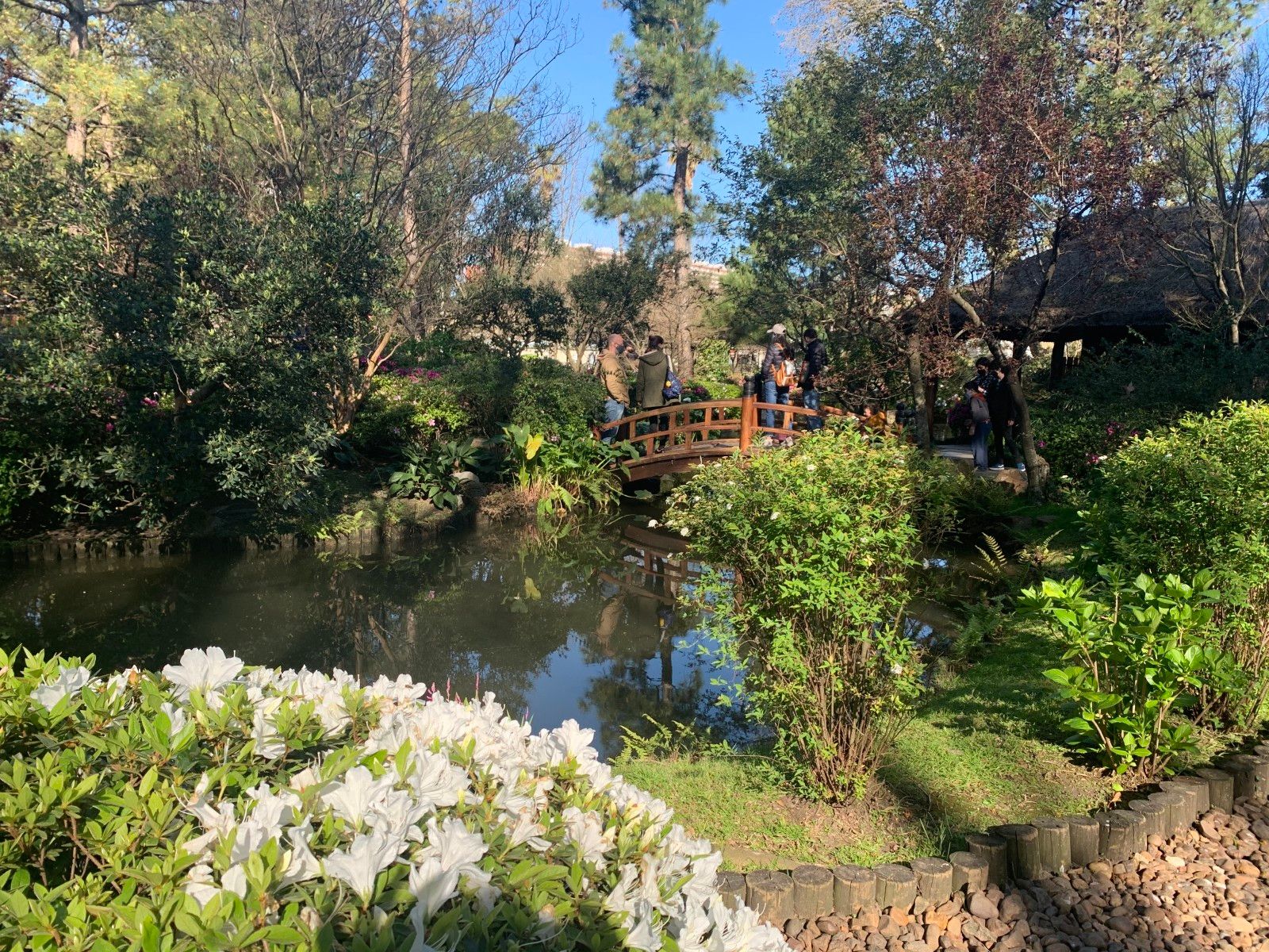 Jardins em Montevidéu. Conhecendo o Uruguai com crianças - 45