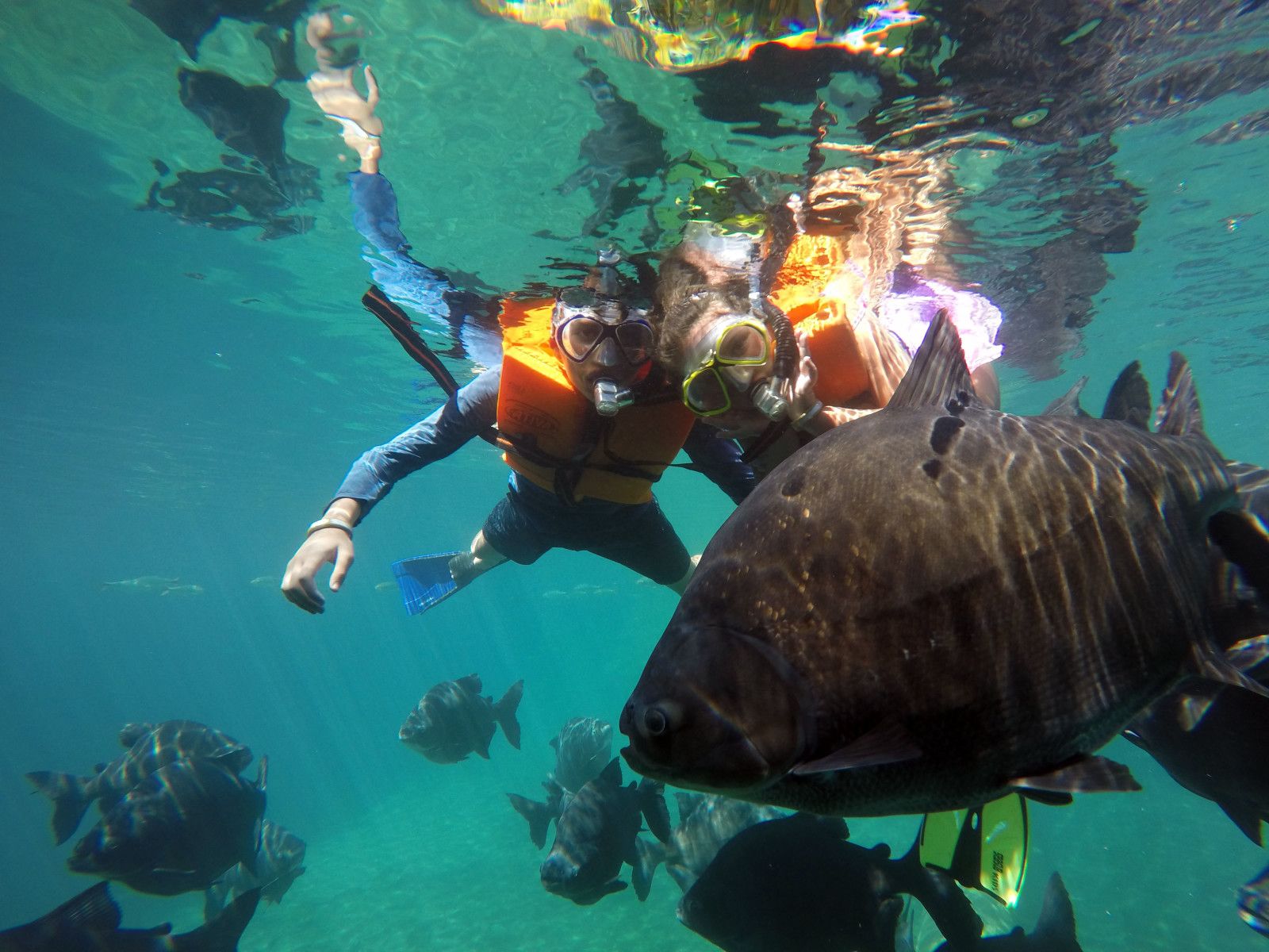 Hot Park no Rio Quente: o que você precisa saber! - 1