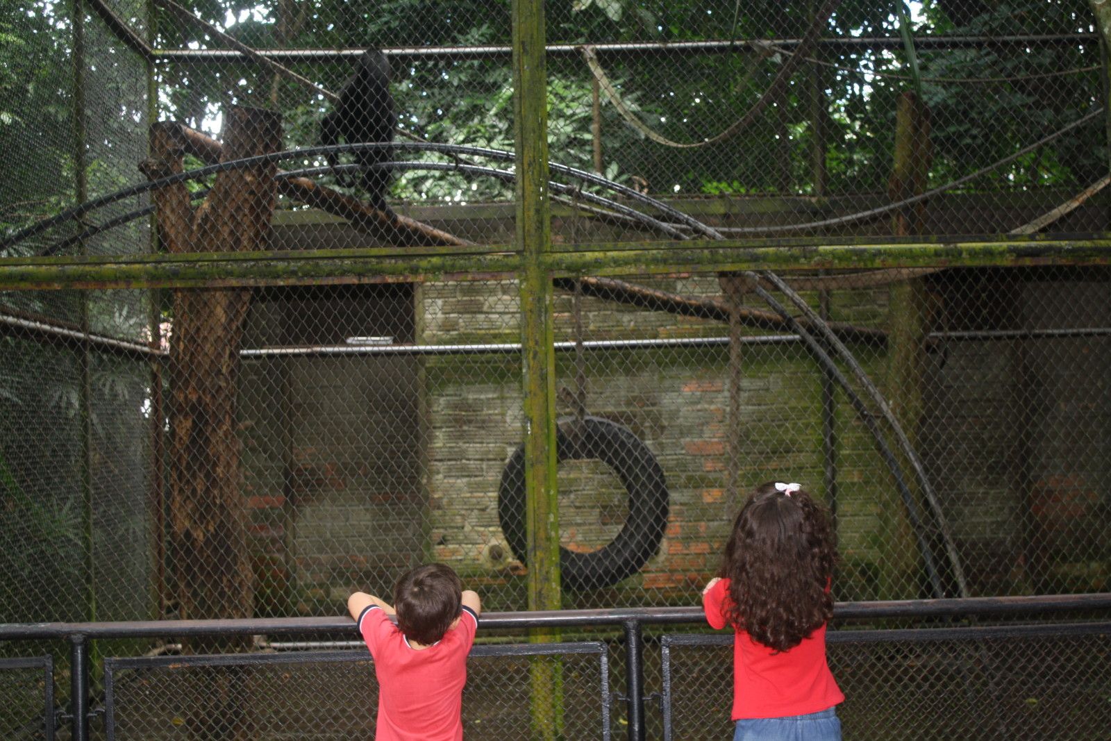 O que fazer em Belém do Pará. Roteiro com crianças! - 18