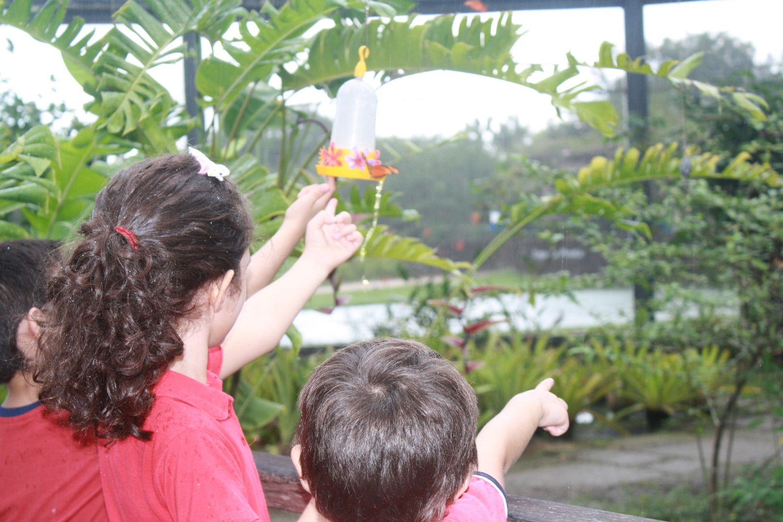 O que fazer em Belém do Pará. Roteiro com crianças! - 29