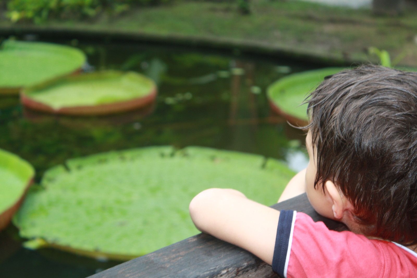 O que fazer em Belém do Pará. Roteiro com crianças! - 30