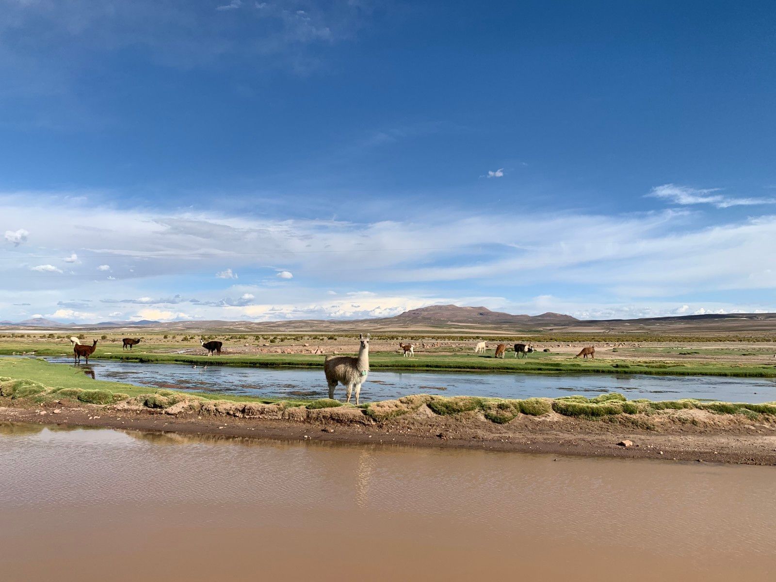 Quanto custa conhecer o Salar de Uyuni - 17