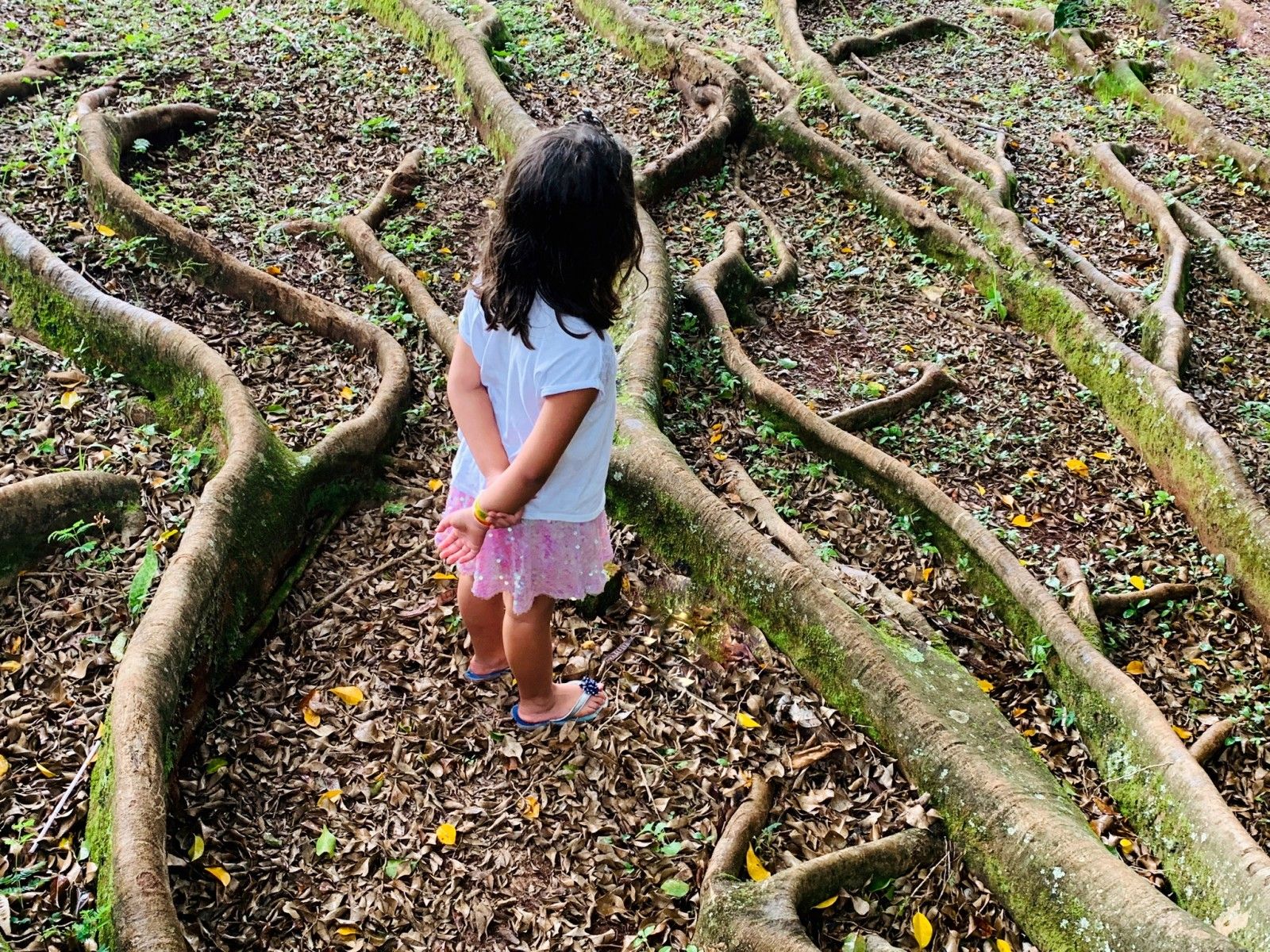 O que fazer em Araxá - 36