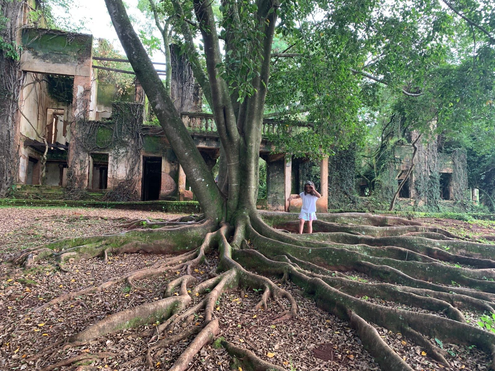 O que fazer em Araxá - 39