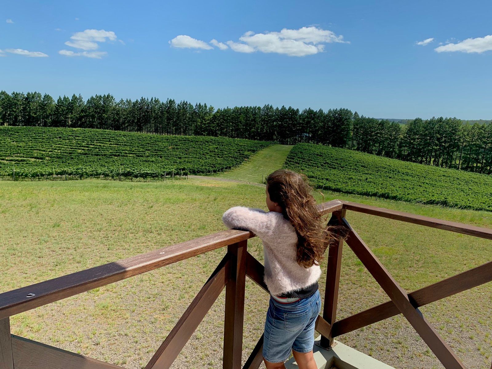 Provando delícias na rota Ferradura dos Vinhedos em Santana do Livramento - 26
