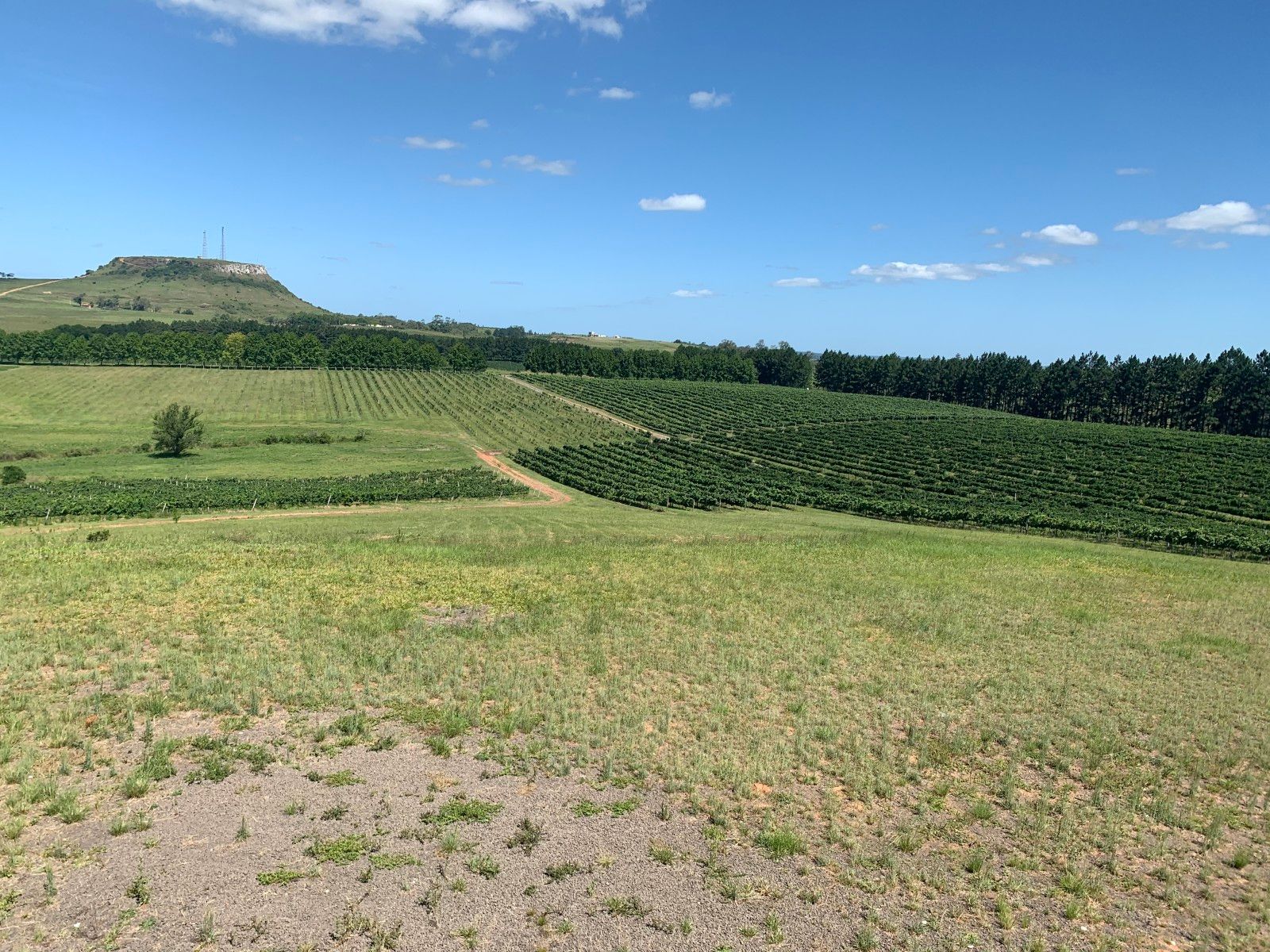 Provando delícias na rota Ferradura dos Vinhedos em Santana do Livramento - 21