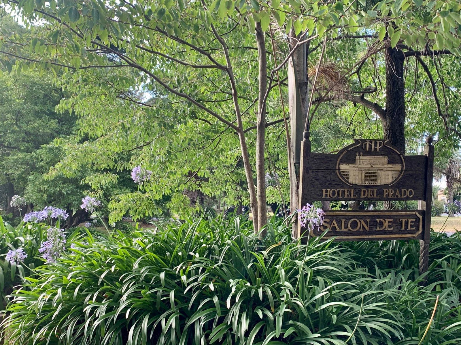 20 Cafés e Casas de Chá em Montevidéu que valem uma visita - 55