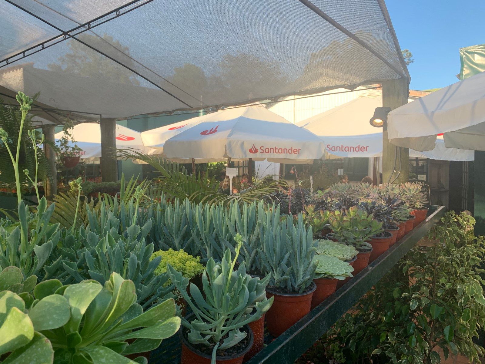 20 Cafés e Casas de Chá em Montevidéu que valem uma visita - 23