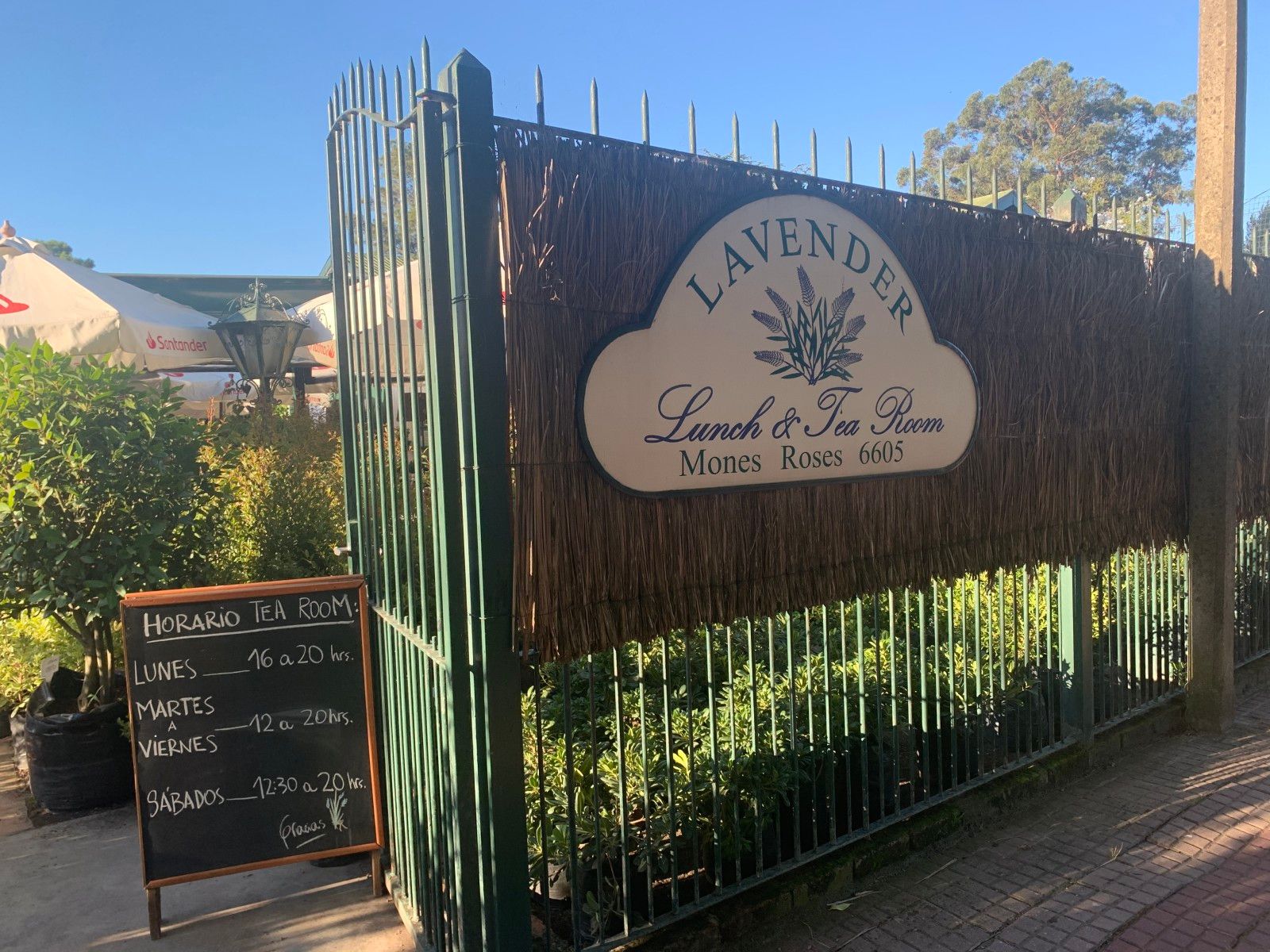 20 Cafés e Casas de Chá em Montevidéu que valem uma visita - 19