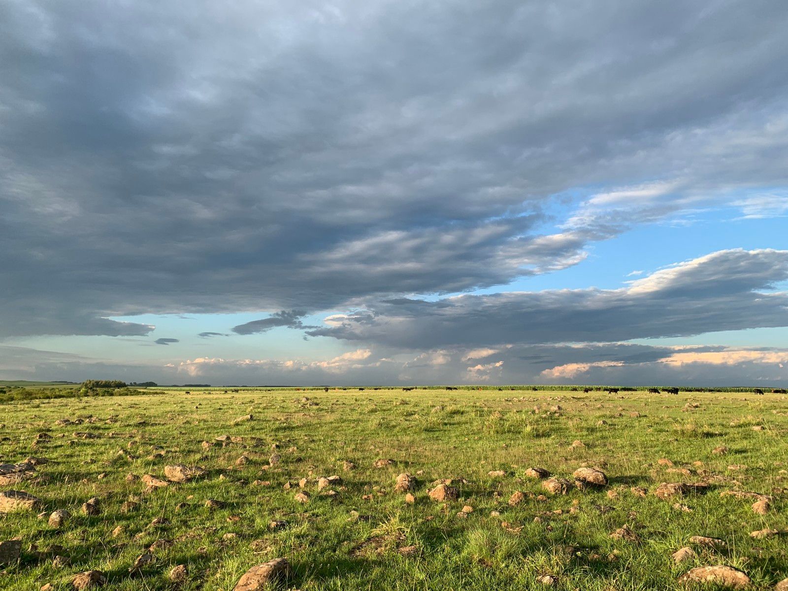 Casa del Lago:  hospedagem de Campo no Uruguay - 36