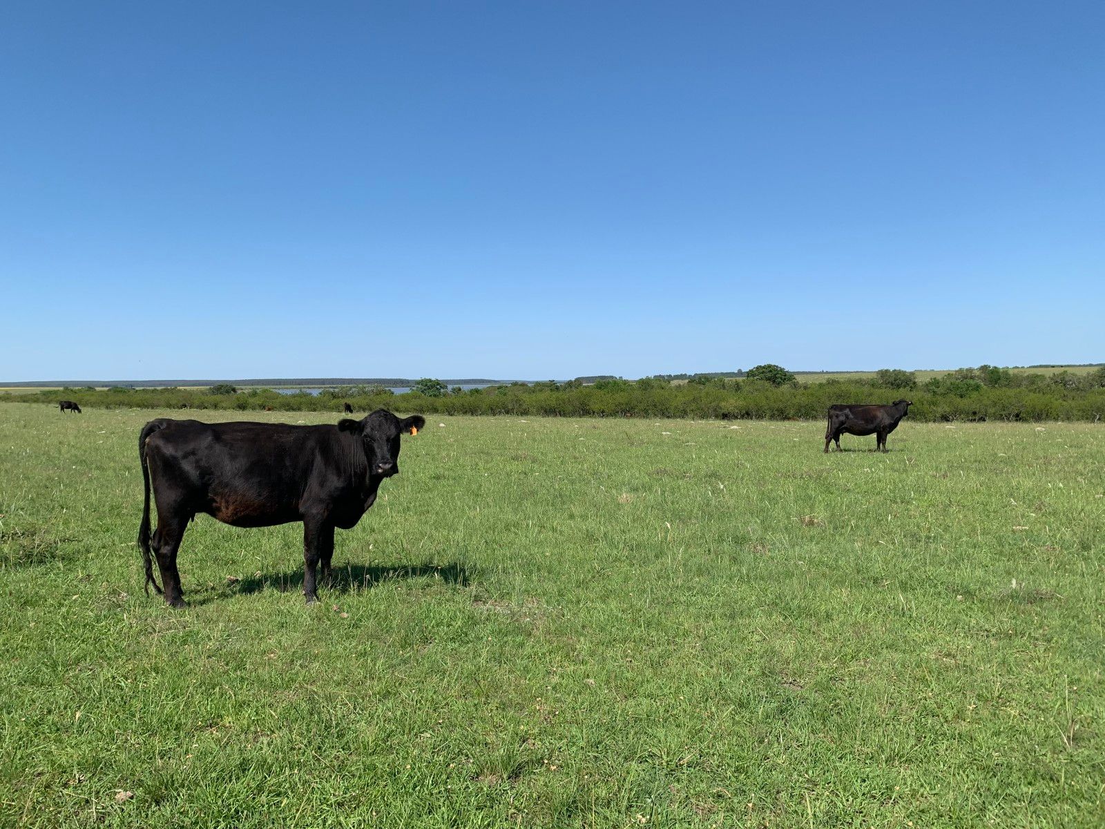 Casa del Lago:  hospedagem de Campo no Uruguay - 25