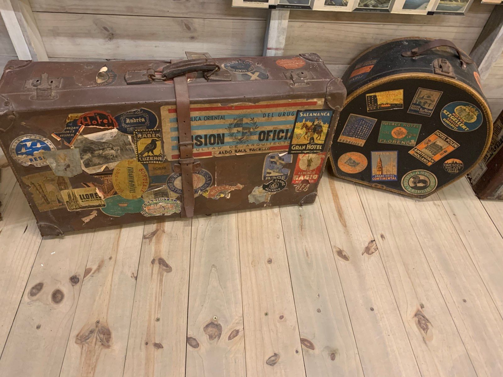 Museo del Mar em Punta del Este - 32