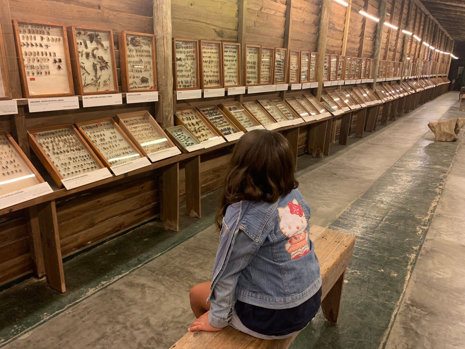 Museo del Mar em Punta del Este - 43