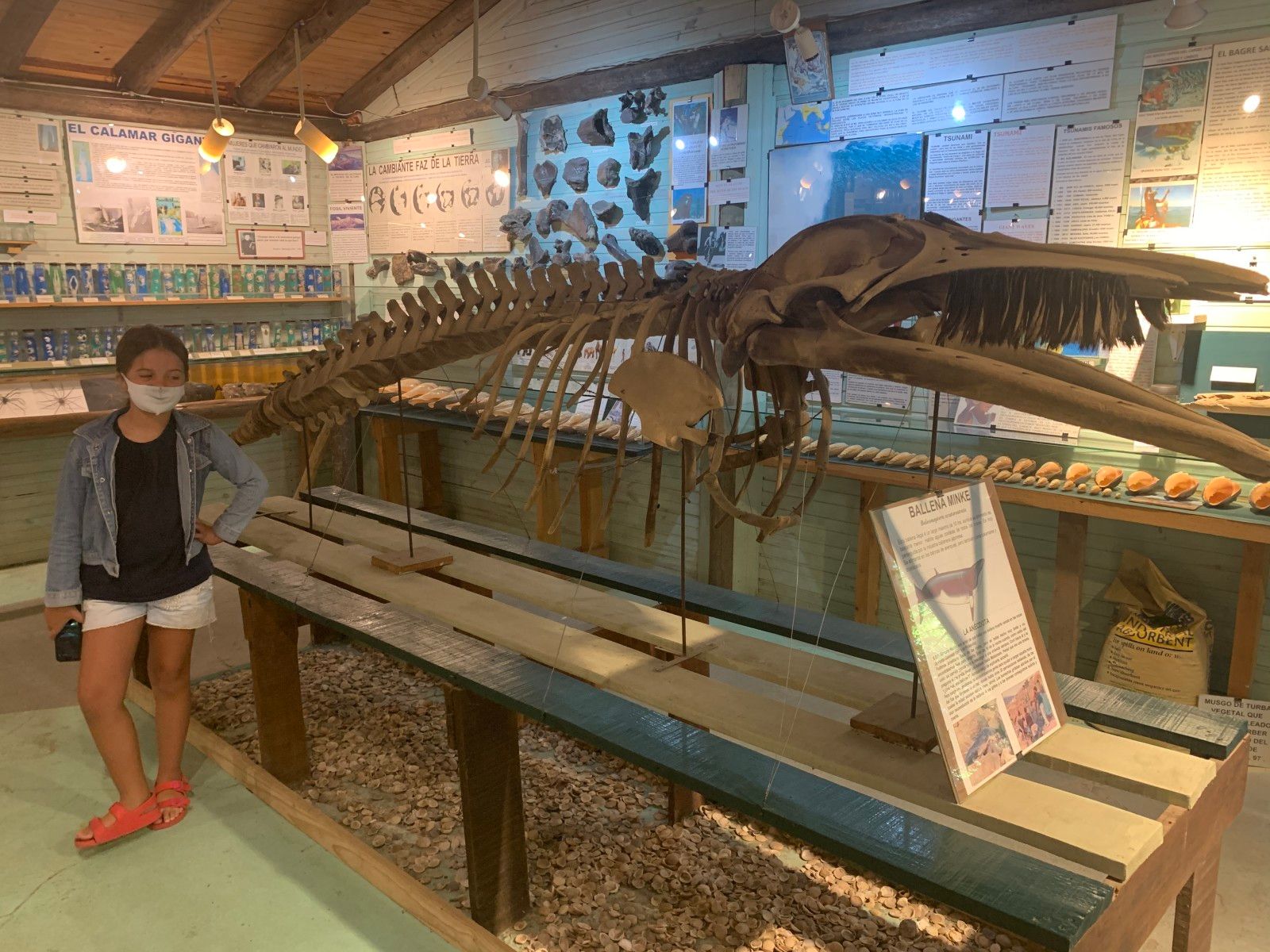 Museo del Mar em Punta del Este - 15