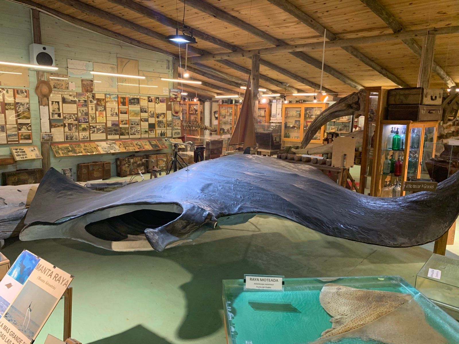 Museo del Mar em Punta del Este - 23