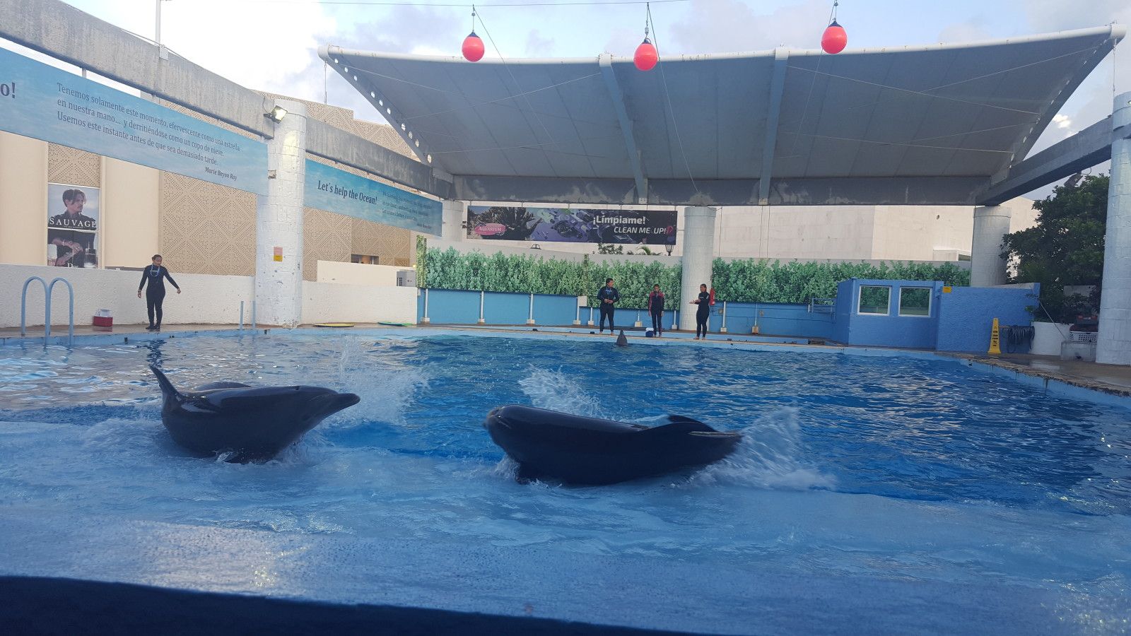 O que fazer em Cancun com crianças - 24