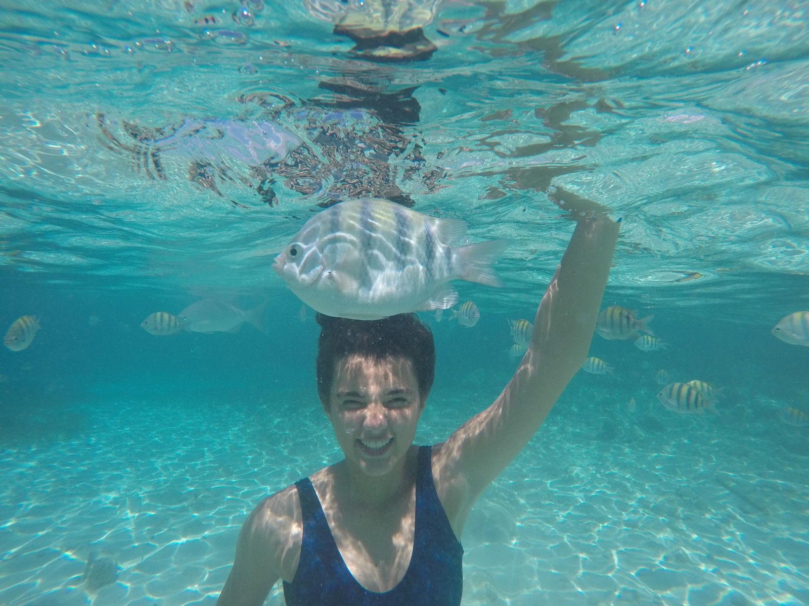 O que fazer em Cancun com crianças - 22