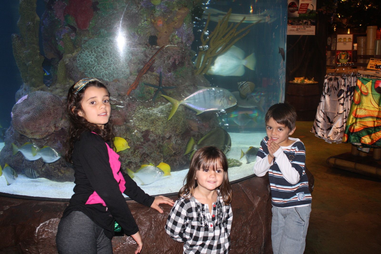 Rainforest Cafe na Disney - 9