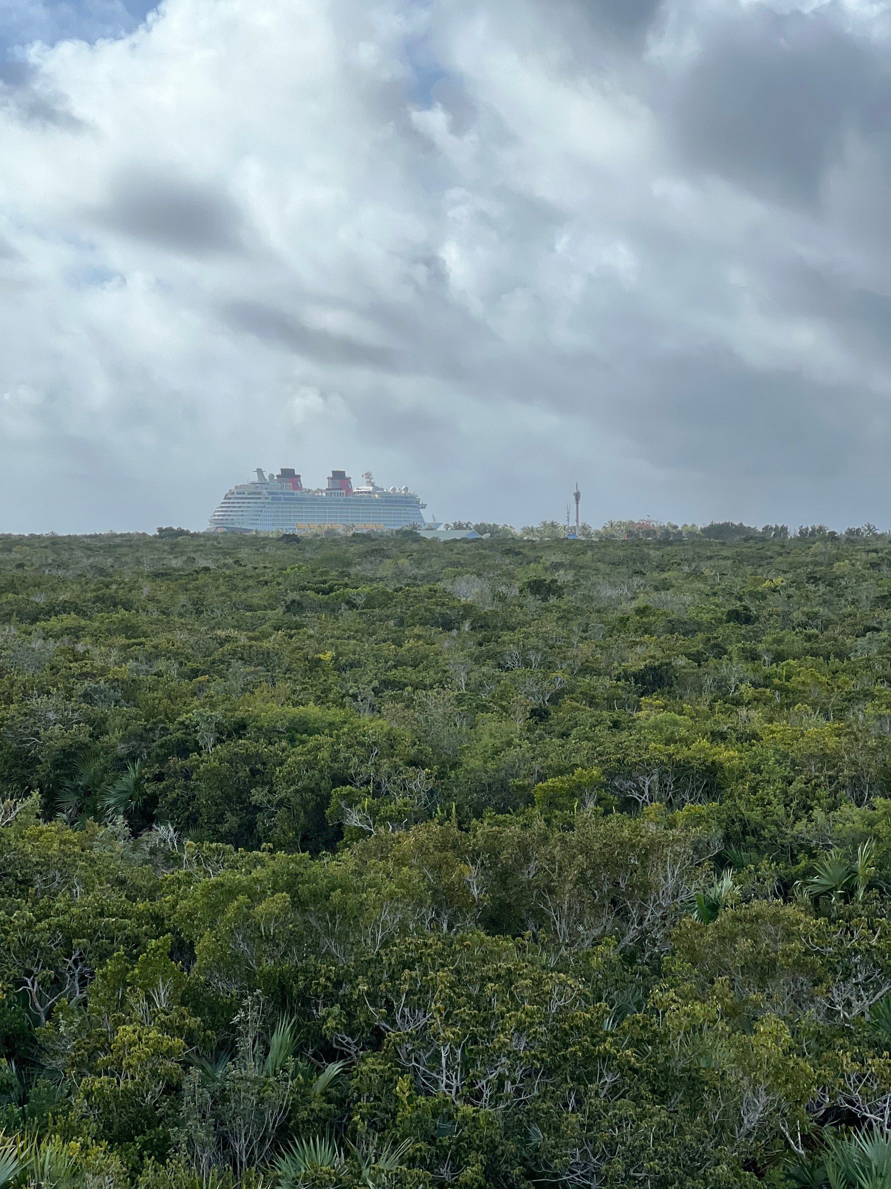 O que fazer na Castaway Cay: a Ilha da Disney - 18