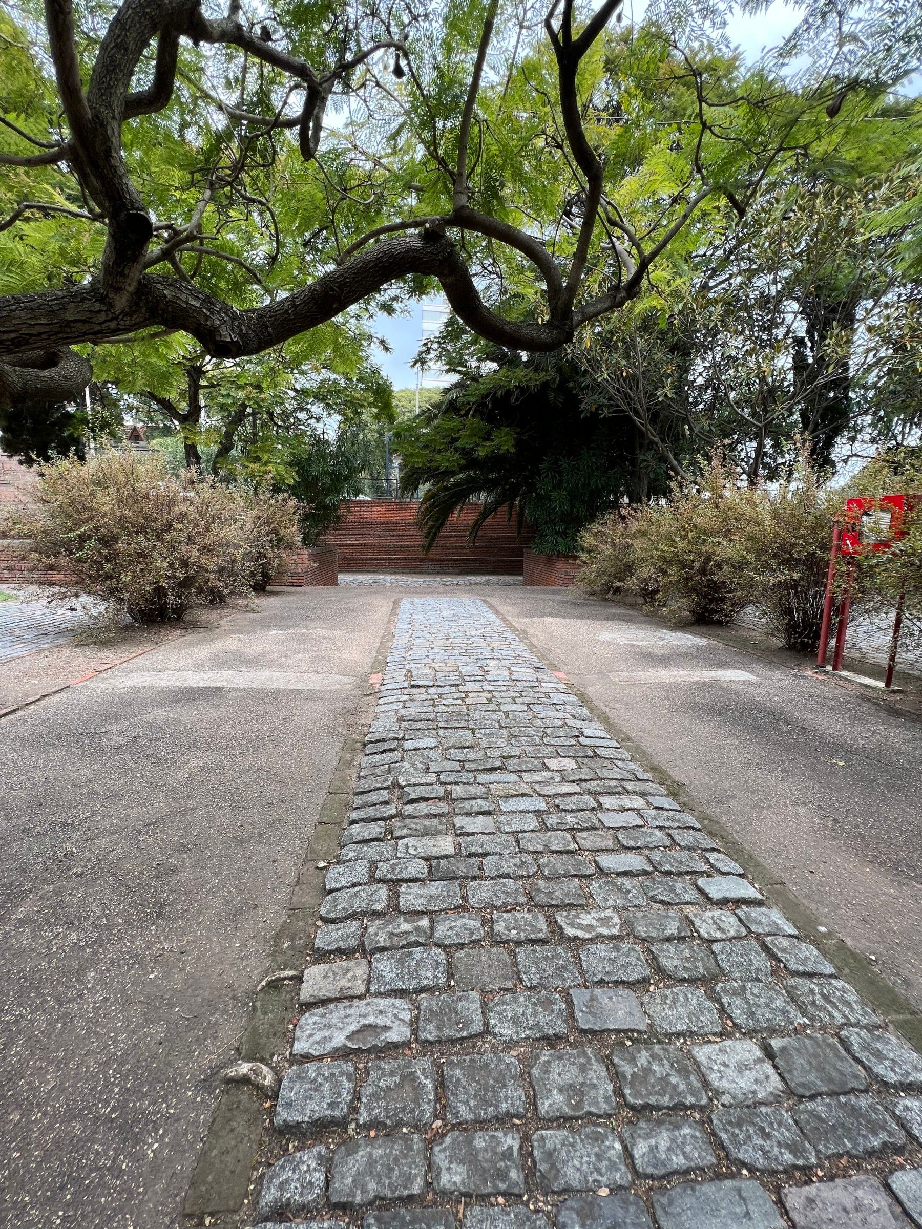 5 Cafeterias em Montevidéu para levar as crianças - 32