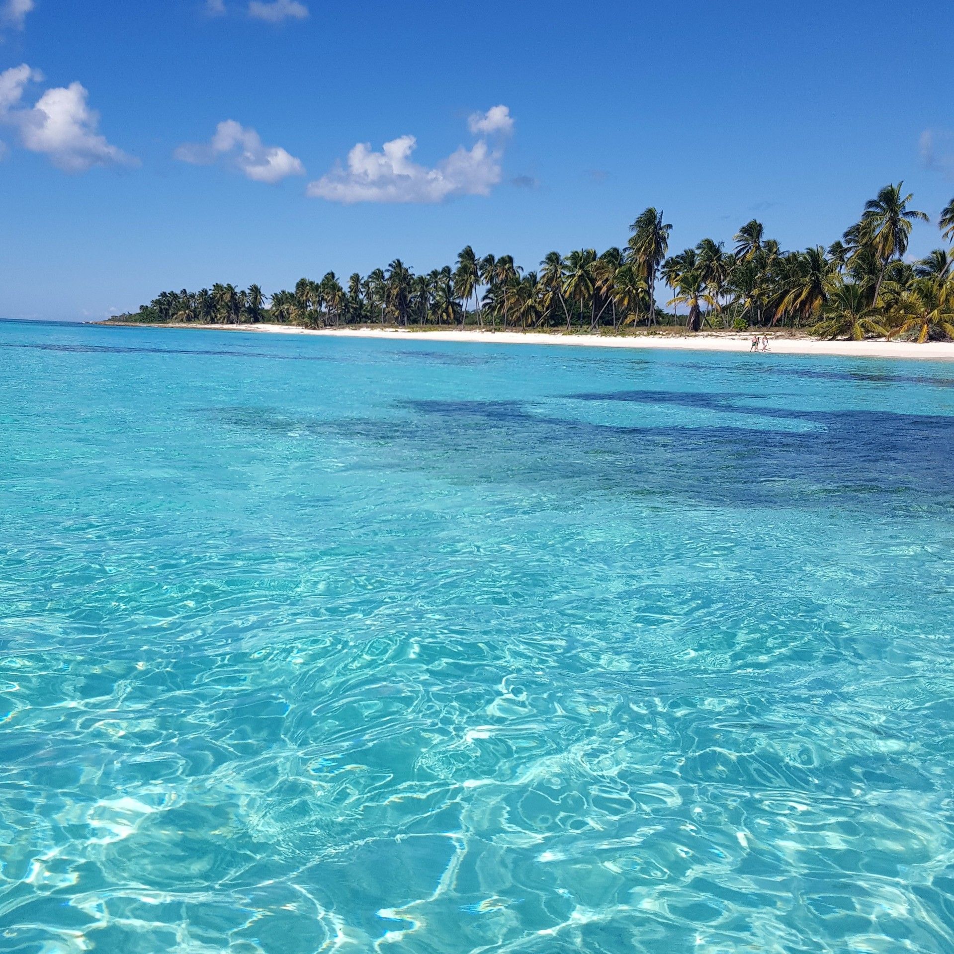 Isla Saona: como é esse passeio oferecido em Punta Cana - 29