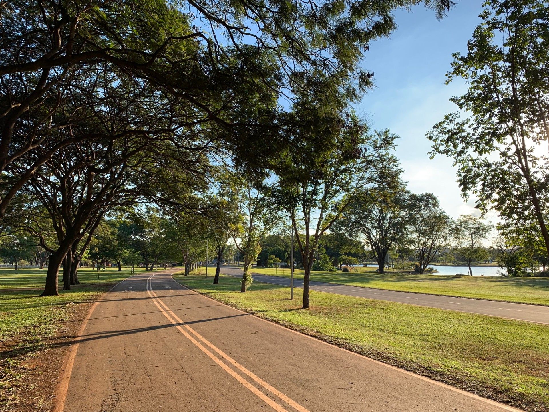O que fazer no Dia dos Namorados em Brasília nesta quarentena - 9