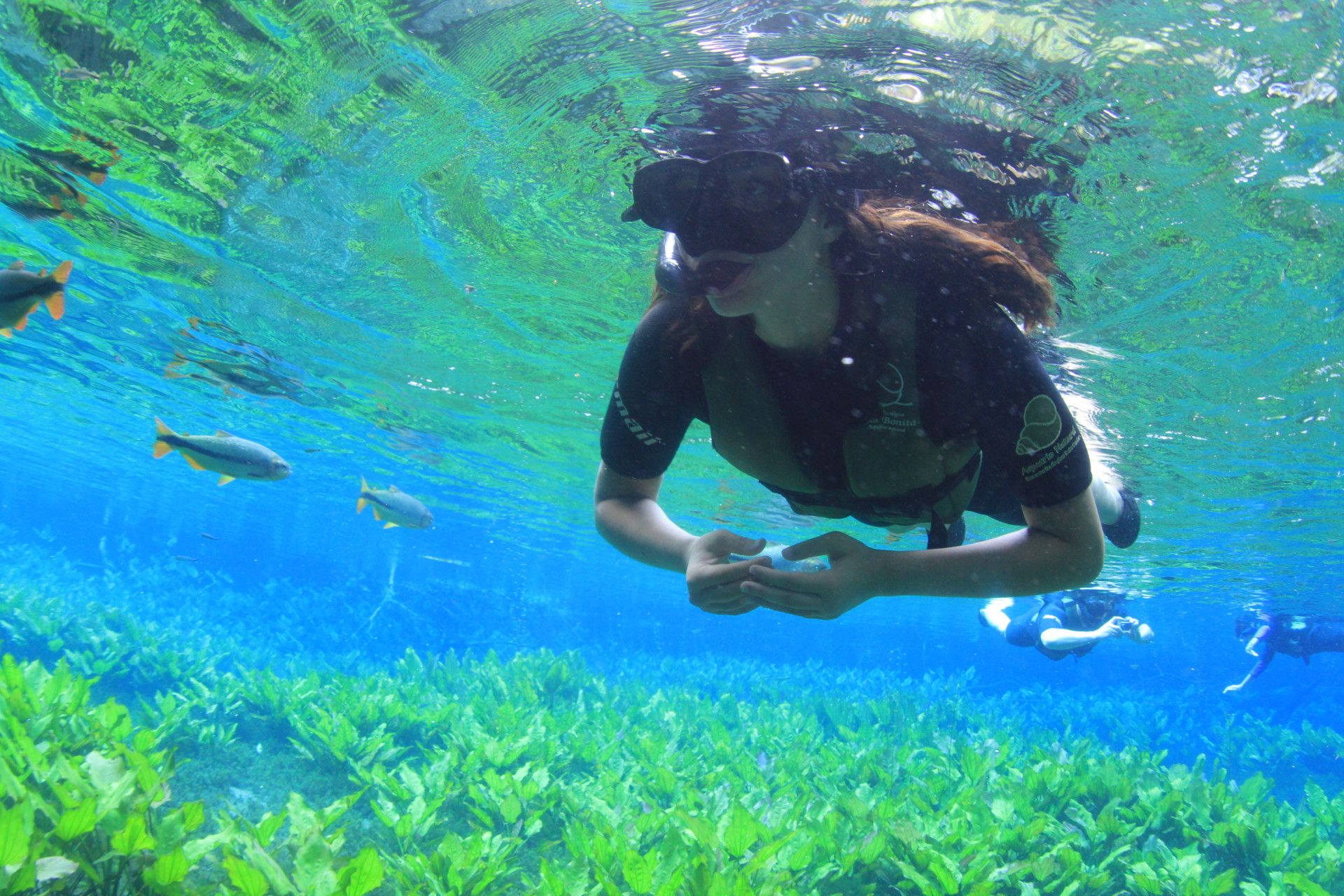 Bonito com crianças: o que você precisa saber! - 1