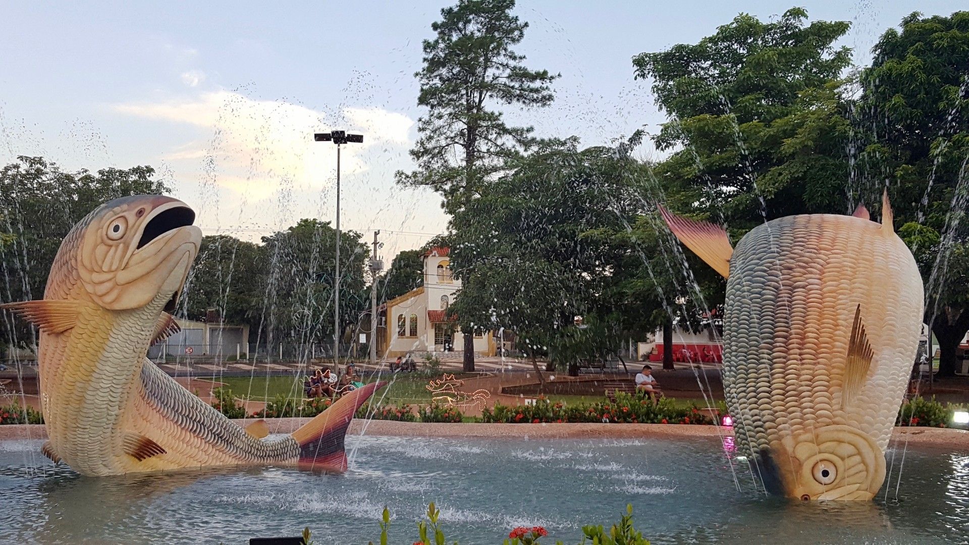 Bonito com crianças: o que você precisa saber! - 8