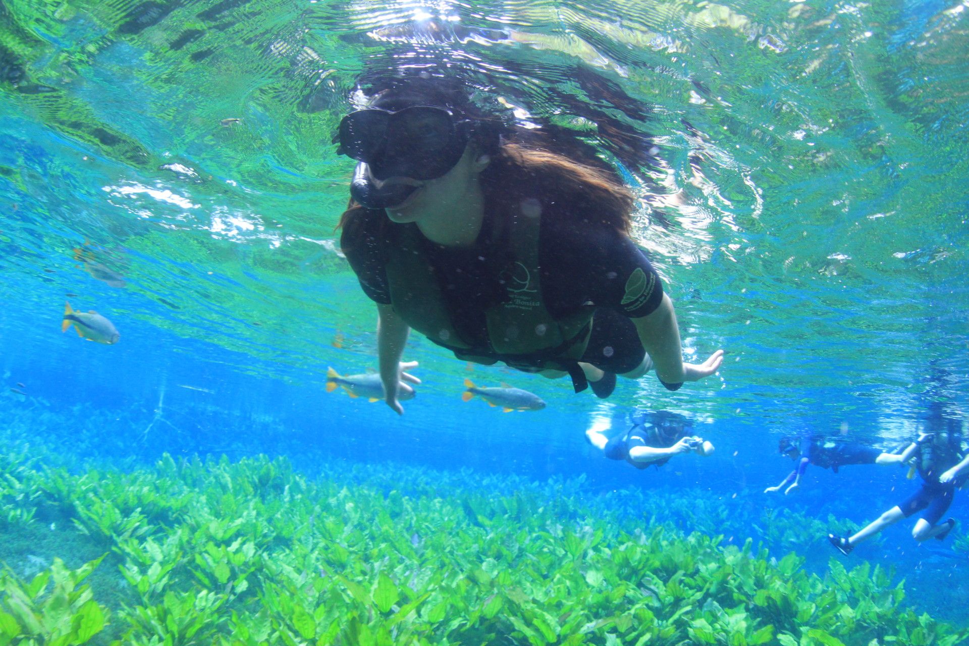 Bonito com crianças: o que você precisa saber! - 47