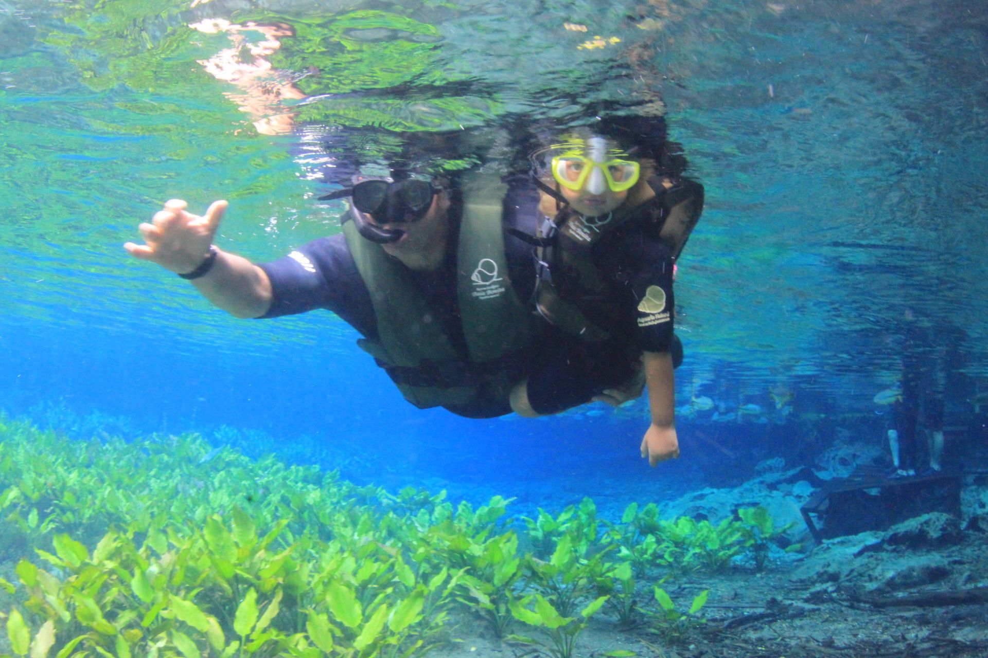 Bonito com crianças: o que você precisa saber! - 50