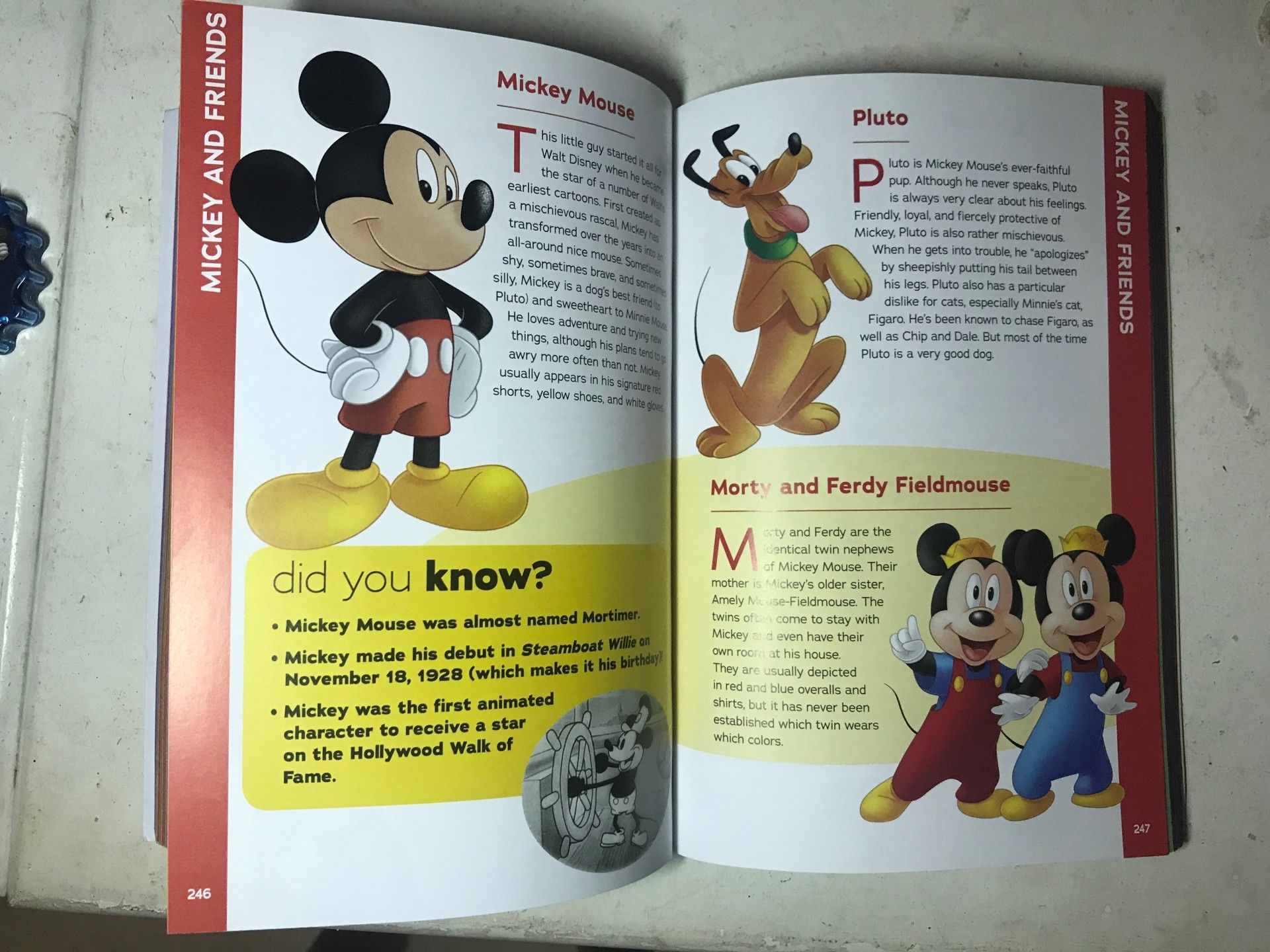 Livros para quem ama o mundo Disney - 15