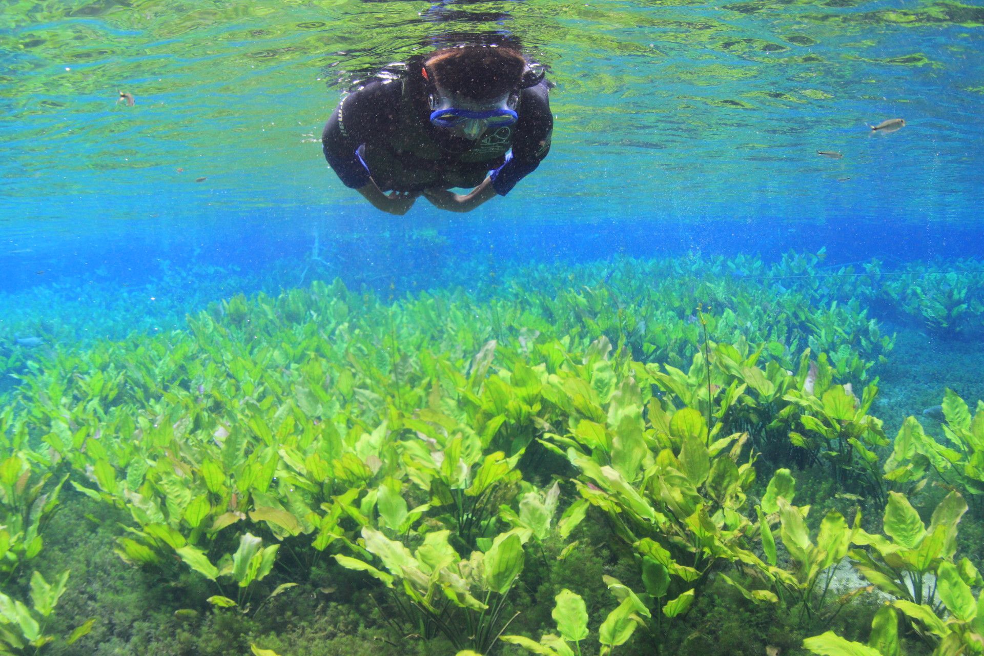 10 Destinos para Turismo de Experiência no Centro-Oeste - 5