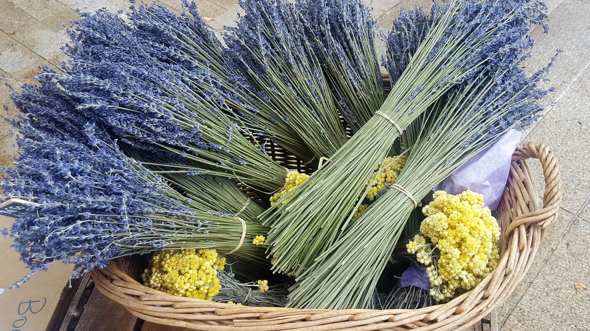 Provence: como visitar os campos de lavanda  com crianças - 8