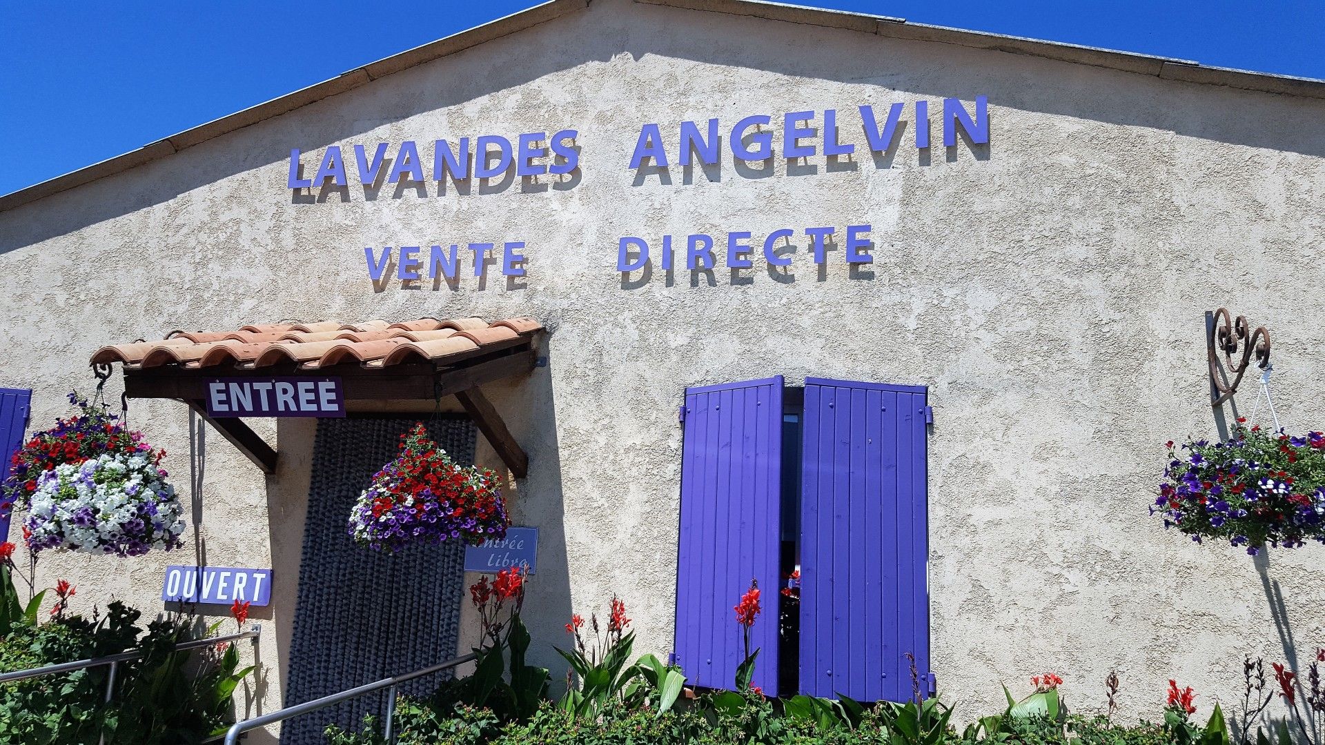 Provence: como visitar os campos de lavanda  com crianças - 25