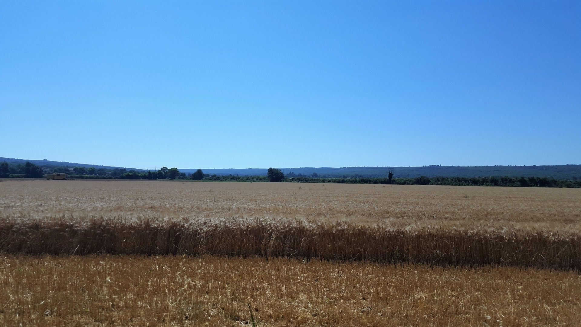Provence: como visitar os campos de lavanda  com crianças - 31